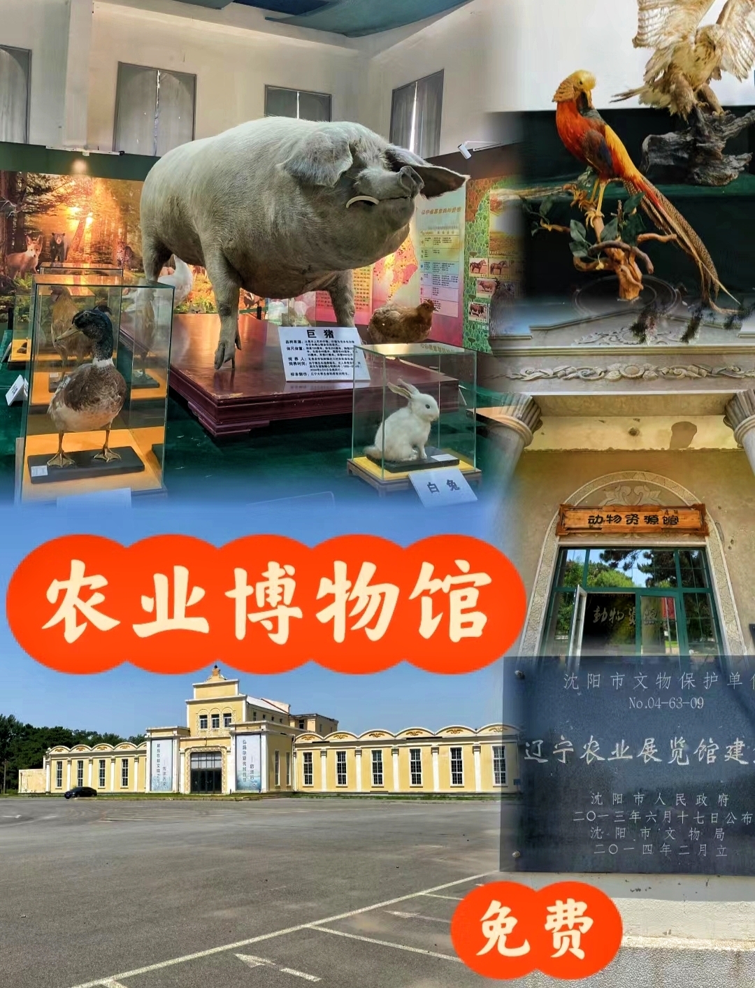 辽宁农业博物馆/免费辽宁农业博物馆