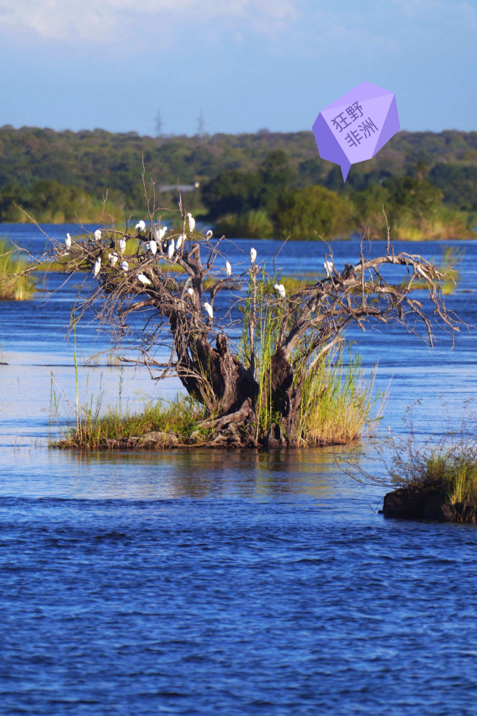 长河落日     徜徉余晖——津巴布韦“赞比西河”