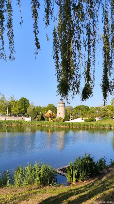 唐山南湖旅游景区-植物园