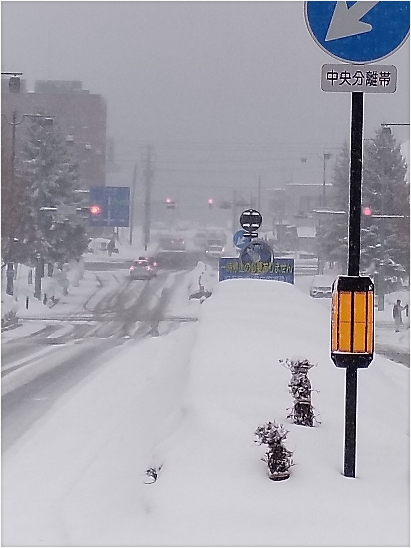 小樽雪