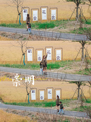 上海近郊亲子游｜坐拥一整片稻田的民宿