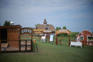 黑山头小众宝藏！外地游客私藏的“云朵牧场”