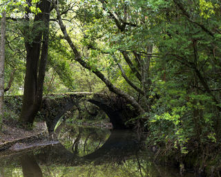 丹崖叠洞绿意盈 -- 福建泰宁寨下大峡谷