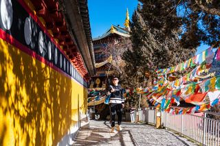 冬游香格里拉，看飞鸟、登雪山
