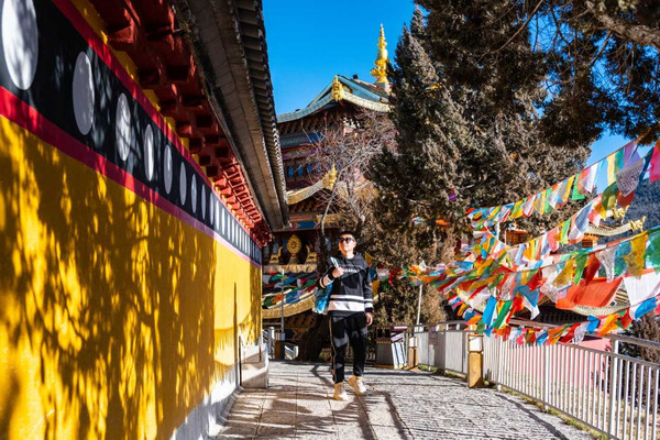 冬游香格里拉，看飞鸟、登雪山