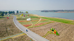 新加坡游记图片] 春日南京周边自驾游，早樱已经盛开，踏入梦幻之地！