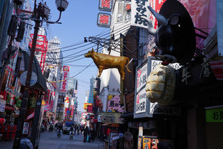 樱花季：大阪、京都、奈良八日游