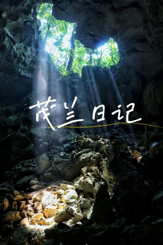 茂兰日记（二）丨消失地表，地心探险