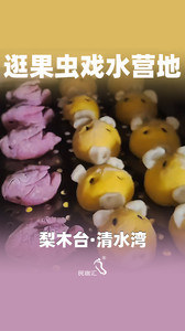 梨木台/九山顶度假区游记图文-天津蓟县梨木台民宿清水湾农家院入住免费逛果虫戏水营地-民宿汇