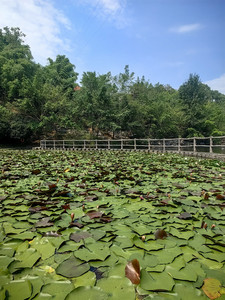 叙永游记图文-我一心想要美好