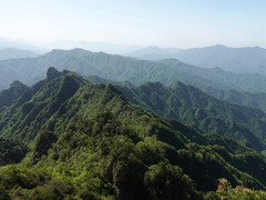 中国游记图片] 河南之旅---老君山