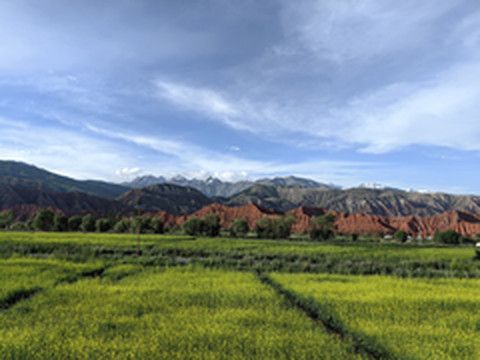 拜城游记图片] 向西而行--新疆自驾之南疆游