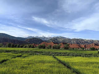 向西而行--新疆自驾之南疆游