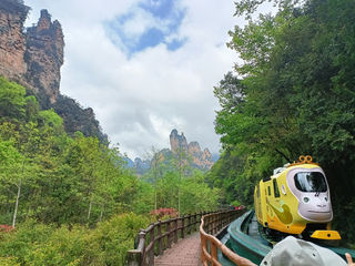 张家界旅游3天2晚跟团2-8人小团路线行程指南，张家界3日游攻略