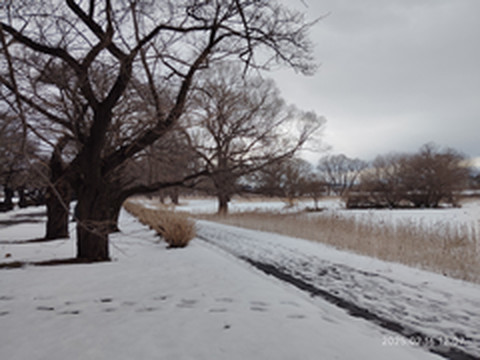 大阪游记图片] 东瀛游记——2025年春