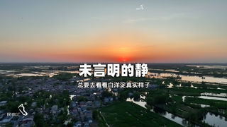 白洋淀民宿王家寨10号院淳朴好客看荷花游红色景点-民宿汇