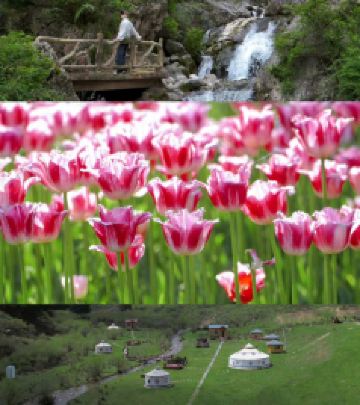 漳县游记图文-大美定西漳县-夏日旅行吃喝玩乐全攻略