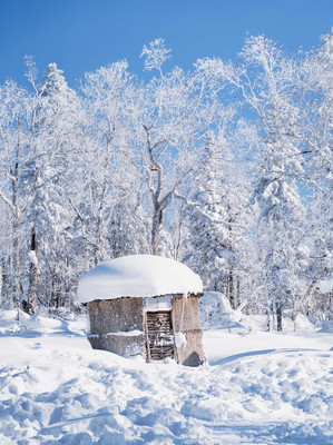 哈尔滨旅游攻略，奔赴一场浪漫雪景❄️哈尔滨-亚布力-雪乡，5天4晚