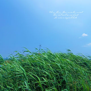 滇池！周末旅行！看滇池日出日落的酒店！