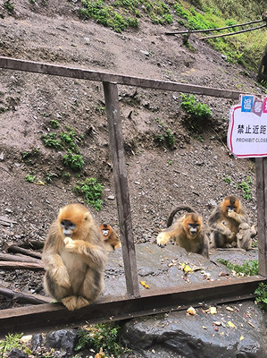 喂动物爬山探洞泡温泉，这个五一拒绝人挤人