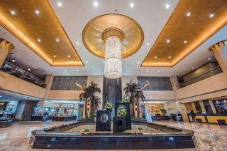 神兽归笼,放飞自我