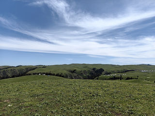 向西而行--新疆自驾之伊犁河谷游