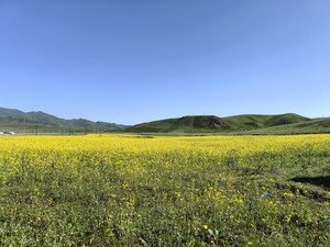 扎尕那游记图文-向西而行--新疆自驾之甘南、陕南、武当山游