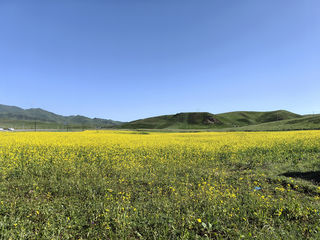 向西而行--新疆自驾之甘南、陕南、武当山游