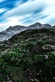 香格里拉巴拉格宗景区游记图片] 去香格里拉，最重要的是——