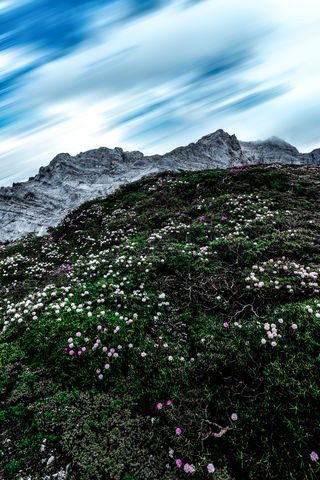 去香格里拉，最重要的是——