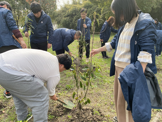 上海春季踏青:长兴岛植树+露营烧烤完美结合