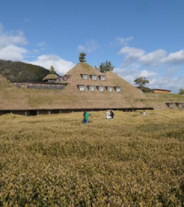 近江八幡市游记图文-带着妈妈去旅行——彦根+近江八幡