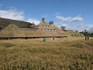 滋贺县游记图文-带着妈妈去旅行——彦根+近江八幡