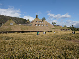带着妈妈去旅行——彦根+近江八幡