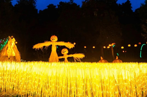 2020年的南昌玛雅乐园探险记，20000㎡南瓜小镇超梦幻