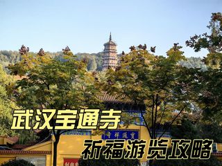 宝通禅寺,闹中取静的武汉名刹