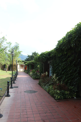 不一样的异国风情品味穿越苏格兰的梦幻之旅