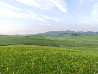 从北京到乌兰布统，一个资深草原玩家的保姆级攻略