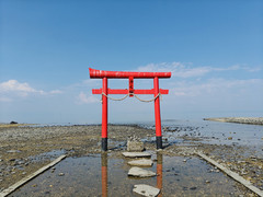 日本游记图片] 日本九州行-宫崎MOAI像-熊本阿苏火山-佐贺环境艺术之森-大鱼神社