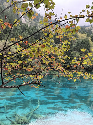 九寨沟--多姿多彩的人间天堂