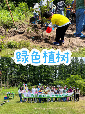 企业环保团建攻略:绿色植树.低碳骑行.净滩计划全记录