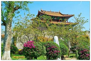 大理——花儿与少女