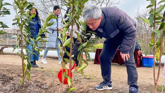 上海周边宝藏地:乐活奉贤与长兴岛桔园植树体验