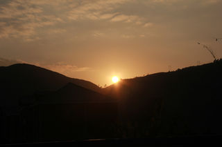 春风有信，花开有期，女神节快乐！