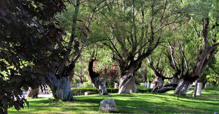 到世界屋脊去 穿越西藏来个全境游 第四集 人间仙境的罗布林卡