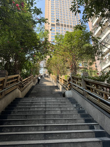 大足石刻度假区游记图文-突然降临的姐妹重庆四日游