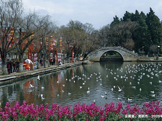 【新云南漫记】36.滇韵大观园  穿越时光与自然的邂逅