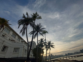 马来西亚榴莲之旅