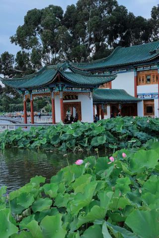 大观公园：荷花+古建，昆明盛夏必逛📸