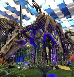 诸城游记图片] 秋风习习-诸城恐龙之旅